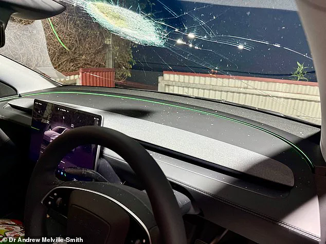 Veterinarian's Sudden Tesla Crash Shatters Windscreen