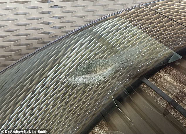 Veterinarian's Sudden Tesla Crash Shatters Windscreen