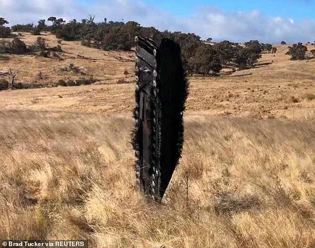Veterinarian's Sudden Tesla Crash Shatters Windscreen