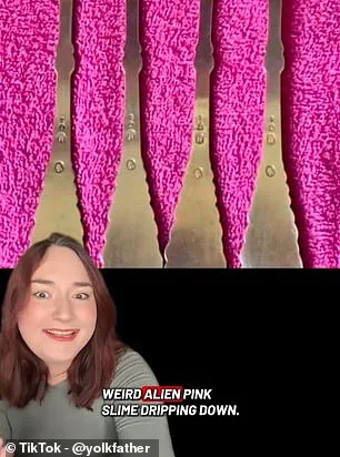 Viral Optical Illusion Divides TikTok Users: Kitchen Tool or Abstract Pink Substance?