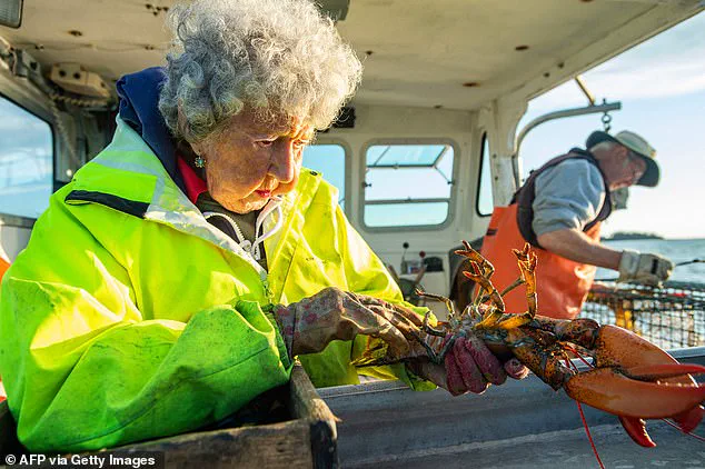 Virginia Oliver, Maine's Legendary 'Lobster Lady,' Dies at 105, Leaving a Legacy of Dedication and Hard Work