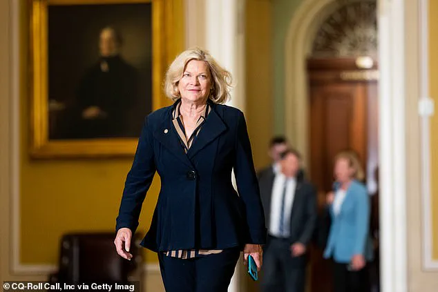 Wyoming's First Nuclear Power Plant Project Sparks Debate in Kemmerer