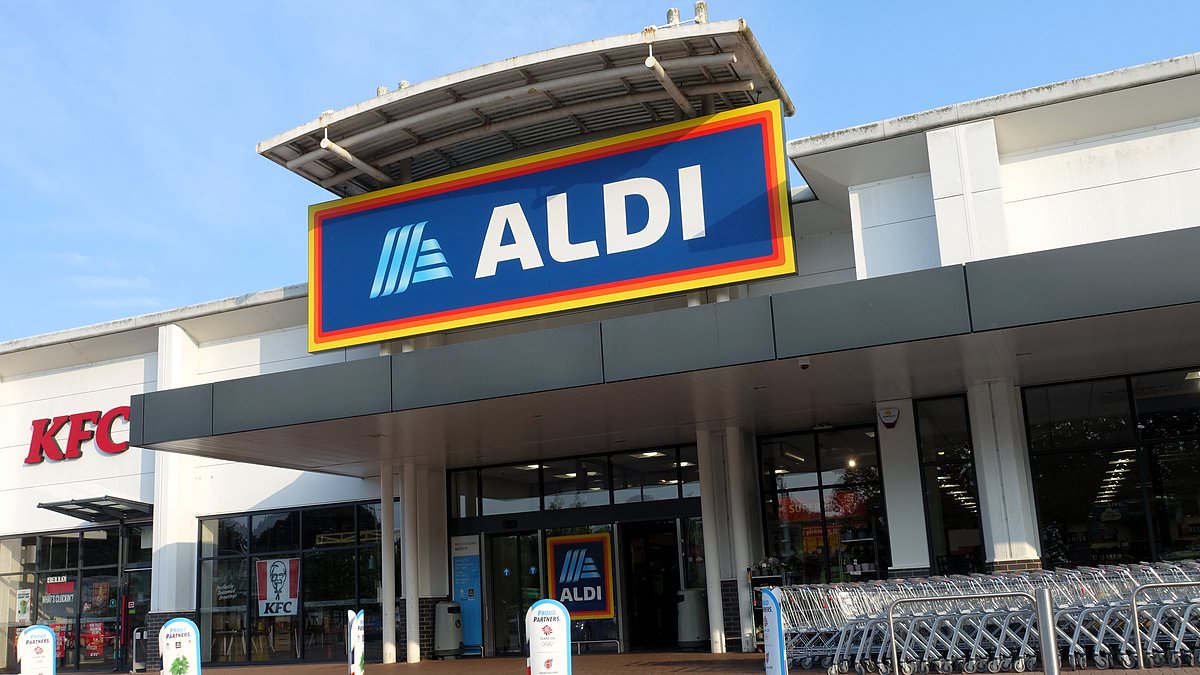 Aldi Recalls Bremer Meatballs After Metal Fragments Discovered