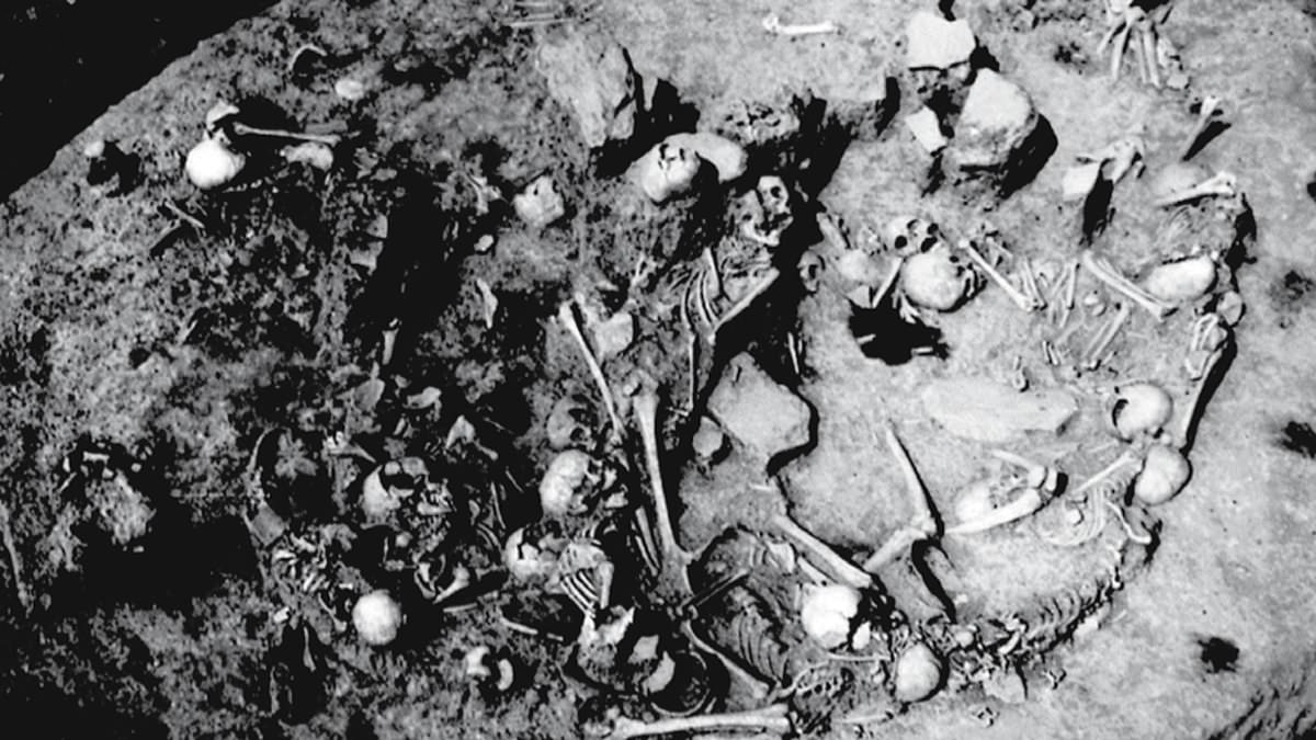 Mass Grave in Serbia Exposes 2,800-Year-Old Atrocity of Women and Children