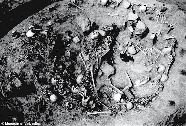 Mass Grave in Serbia Exposes 2,800-Year-Old Atrocity of Women and Children