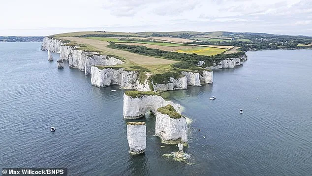 Father's Reckless Stunt at Old Harry Rocks Highlights Growing Tourist Safety Risks