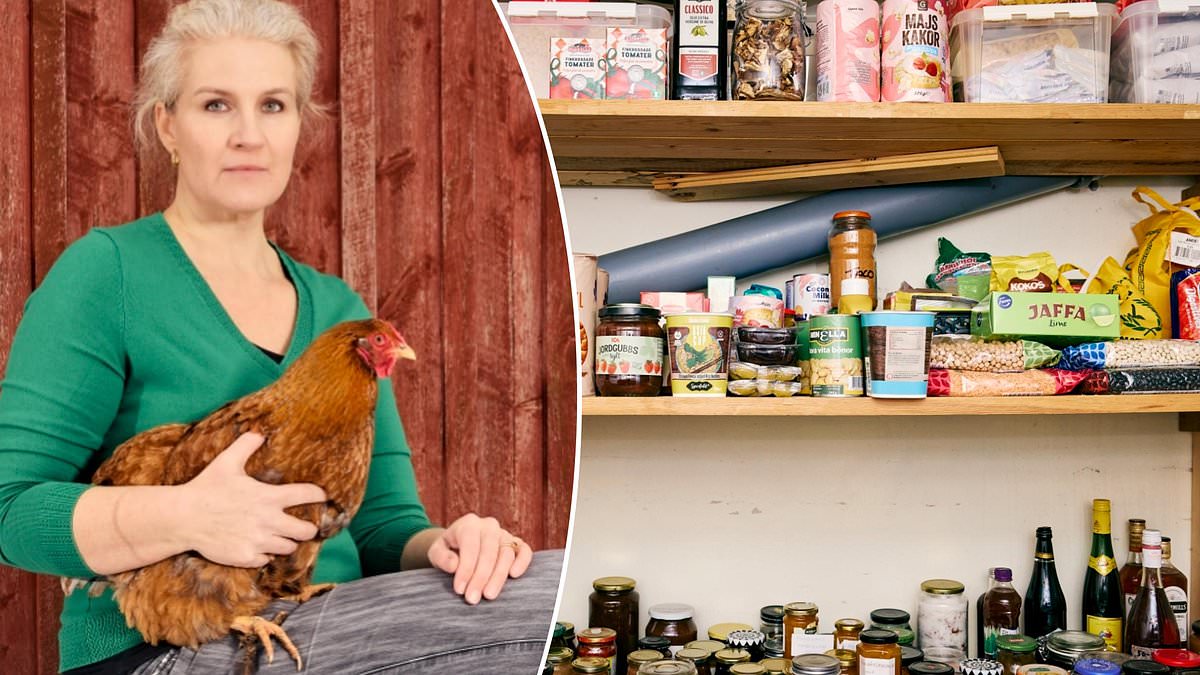 Gotland's Growing Emergency Preparations: A Response to Geopolitical Anxiety and Strategic Vulnerability