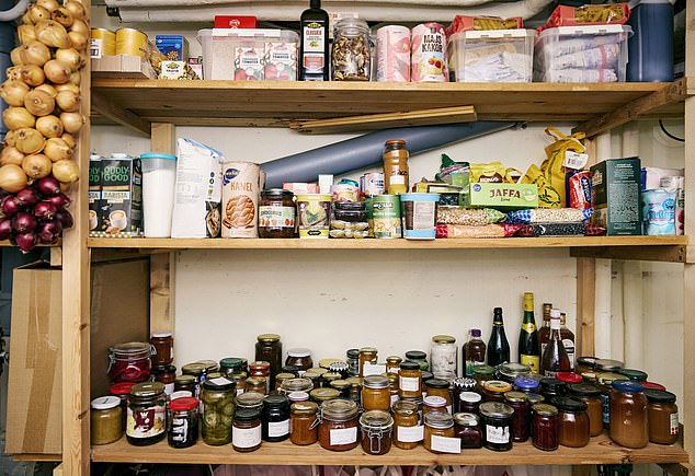 Gotland's Growing Emergency Preparations: A Response to Geopolitical Anxiety and Strategic Vulnerability