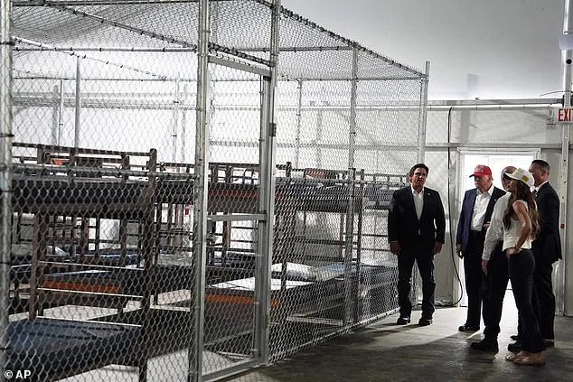 IT Specialist Hired by Border Patrol Detained on First Day