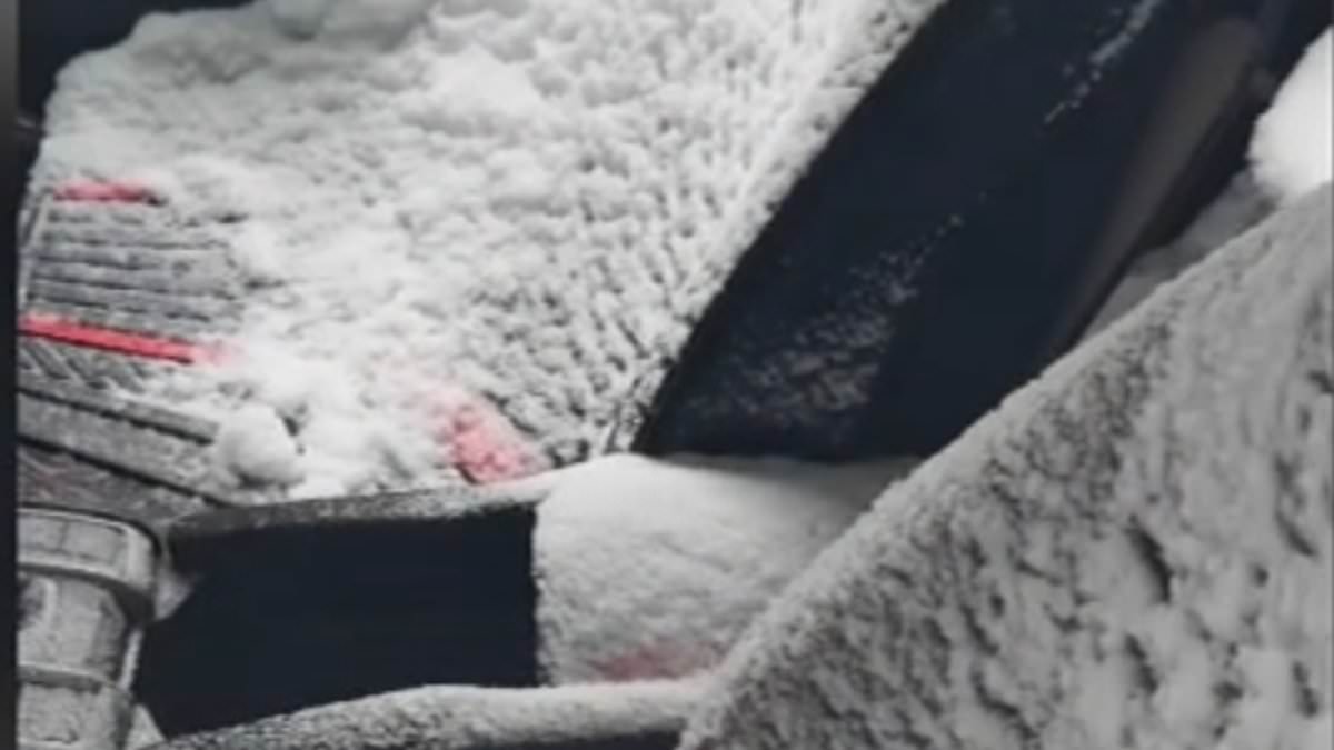 Key Fob Error Buried Man's Car in Snow: Hidden Feature Exposes Modern Tech Flaw