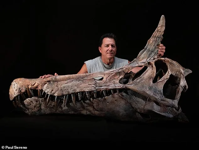 Sahara's Massive Fossil Skull Sparks Dragon Debate: New Spinosaurus Species Redefines Ancient Ecosystems