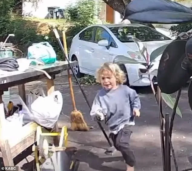 Salvo's Frantic Cry: A Mother's Race Against Time in Pasadena