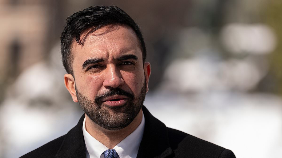 Zohran Mamdani's $70M Feasibility Study for City-Run Grocery Stores Sparks Criticism Amid $5.4B Budget Deficit