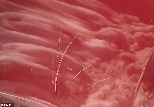 Bizarre Snow Dispute Erupts in Queens After Neighbor Piles Snow on Family's SUV