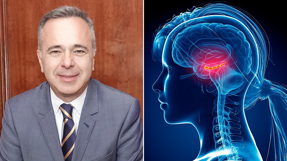 From Static to Dynamic: The Brain's Remarkable Ability to Adapt and Defy Alzheimer's