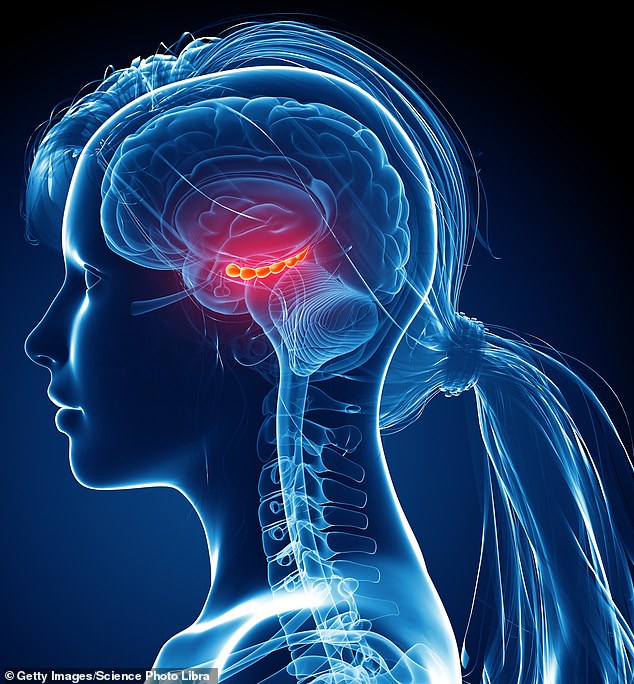 From Static to Dynamic: The Brain's Remarkable Ability to Adapt and Defy Alzheimer's