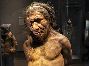 Study Reveals Social Preferences, Not Biology, Shaped Human-Neanderthal Interbreeding Patterns