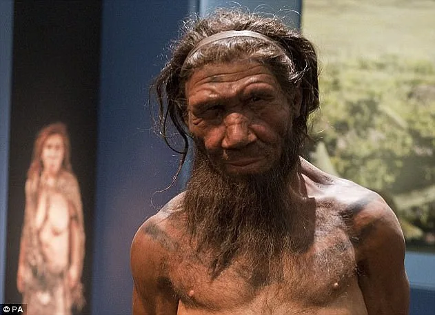 Study Reveals Social Preferences, Not Biology, Shaped Human-Neanderthal Interbreeding Patterns