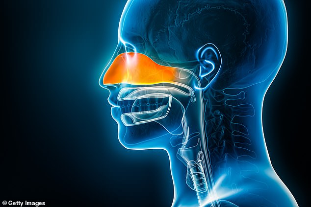 Chronic Rhinosinusitis: A Silent Epidemic with Lasting Consequences
