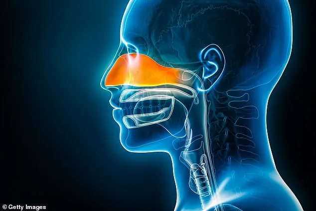 Chronic Rhinosinusitis: A Silent Epidemic with Lasting Consequences