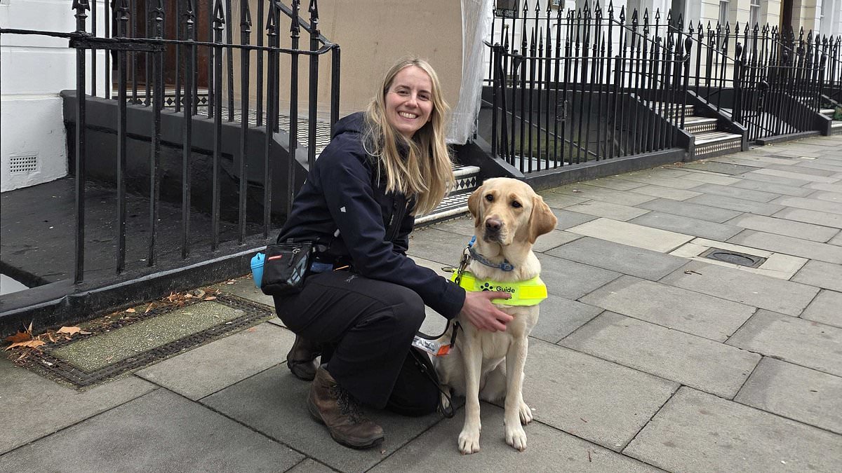 The Art and Science of Guide Dog Matchmaking: How Ellie Brown Finds Perfect Pairs for Dogs and Humans