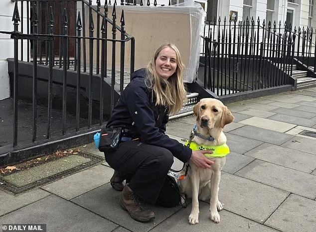 The Art and Science of Guide Dog Matchmaking: How Ellie Brown Finds Perfect Pairs for Dogs and Humans