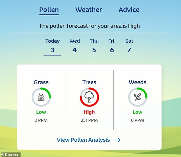 After 50 Days of Rain, UK Faces 'Pollen Bomb' as Hay Fever Surges
