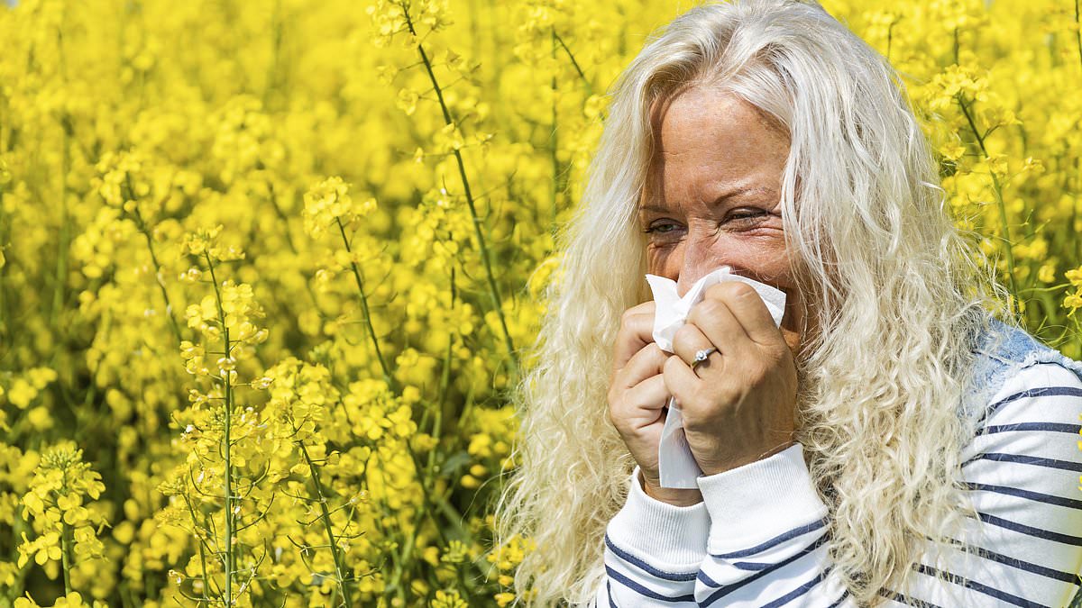 Hay Fever Time Bomb: 16 Million UK Sufferers Face Worst Season in 2026
