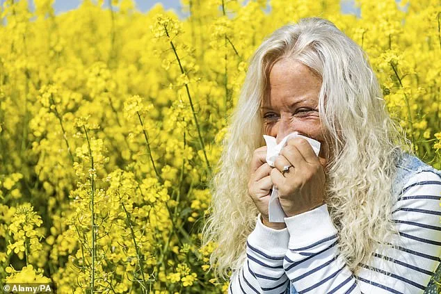 Hay Fever Time Bomb: 16 Million UK Sufferers Face Worst Season in 2026