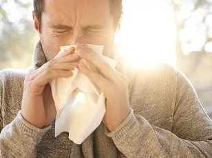 Hay Fever Time Bomb: 16 Million UK Sufferers Face Worst Season in 2026