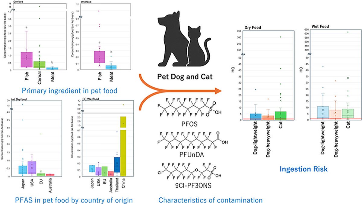 Toxic 'Forever' Chemicals in Wet Pet Foods Pose Cancer Risks to Dogs and Cats