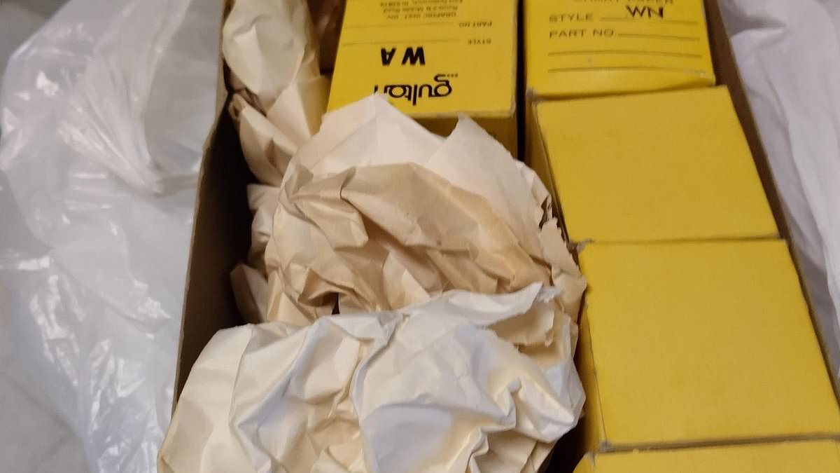 Declassified UFO Files Reveal Bizarre Antarctic Encounter Hidden for 35 Years