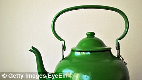 Embrace Caterpillar Damage to Save Moths, Urge Conservationists