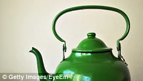 Embrace Caterpillar Damage to Save Moths, Urge Conservationists