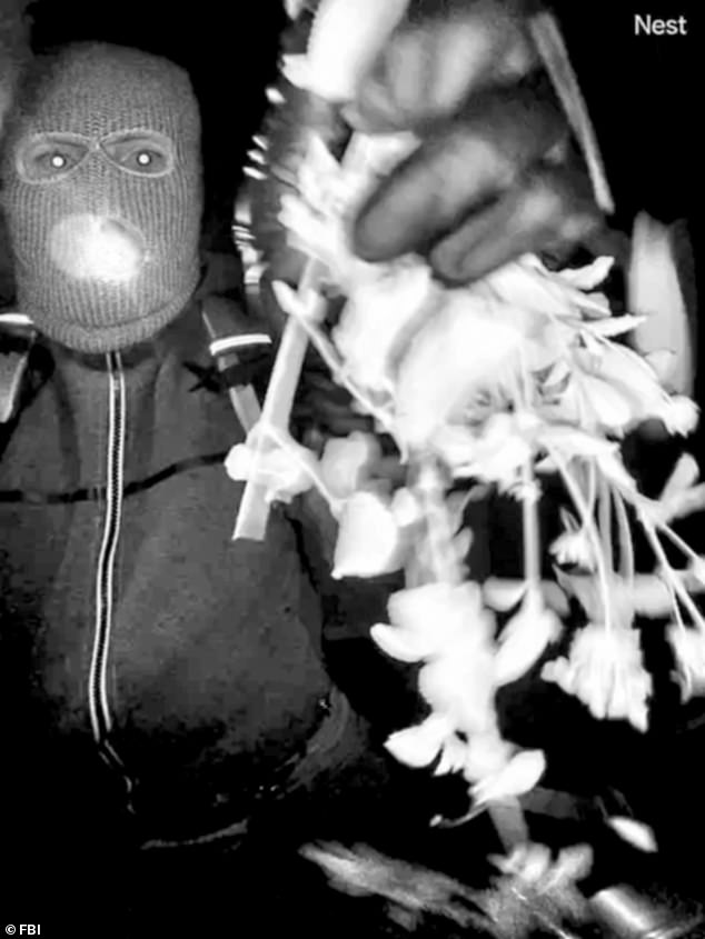 Luke Daley Faces Tucson SWAT Raid and FBI Probe Over Nancy Guthrie's Disappearance