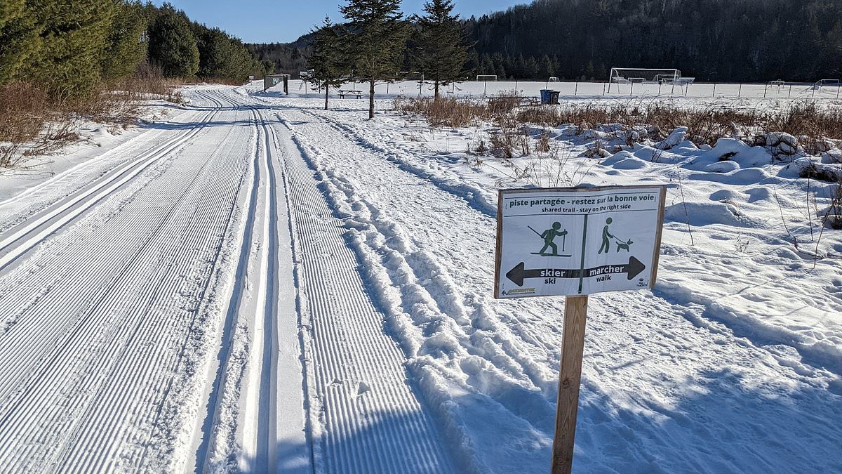 Tragic Sledding Accident Claims Life of 4-Year-Old in Ontario Park