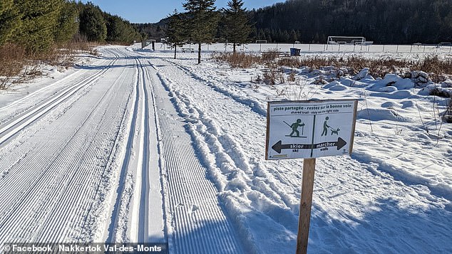 Tragic Sledding Accident Claims Life of 4-Year-Old in Ontario Park