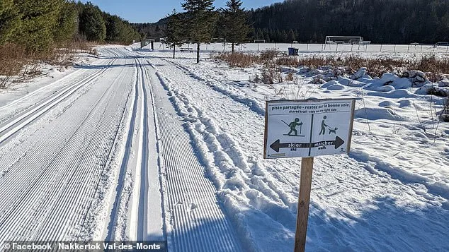 Tragic Sledding Accident Claims Life of 4-Year-Old in Ontario Park