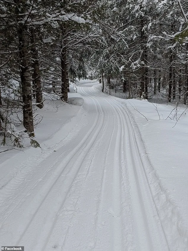 Tragic Sledding Accident Claims Life of 4-Year-Old in Ontario Park