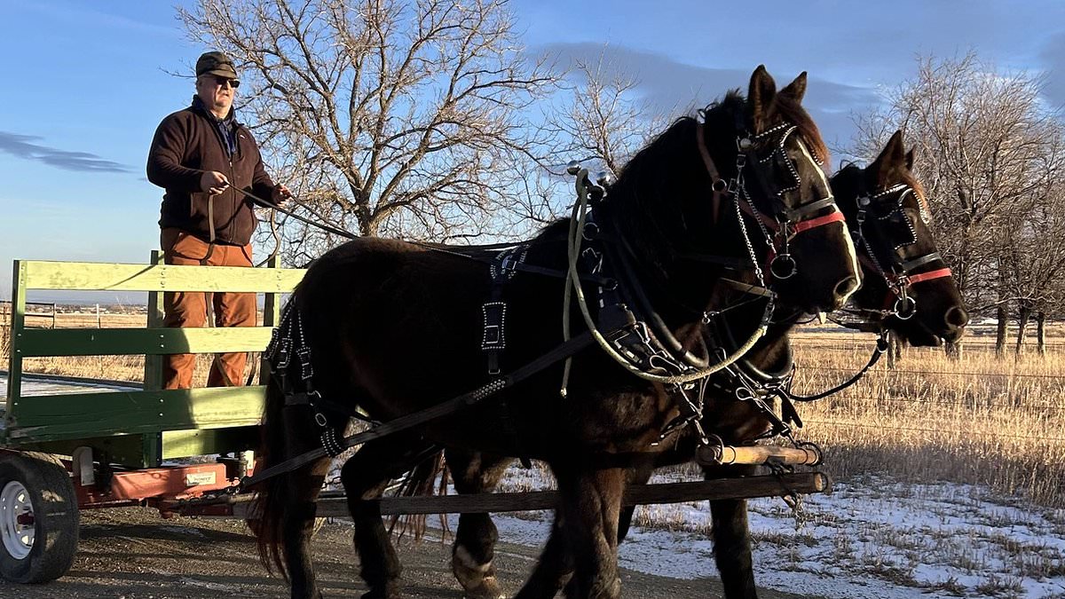 Wyoming Farmer Granted Rare Exception After McDonald's Apology Over Horse-Pulled Wagon Incident
