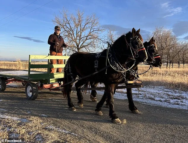 Wyoming Farmer Granted Rare Exception After McDonald's Apology Over Horse-Pulled Wagon Incident