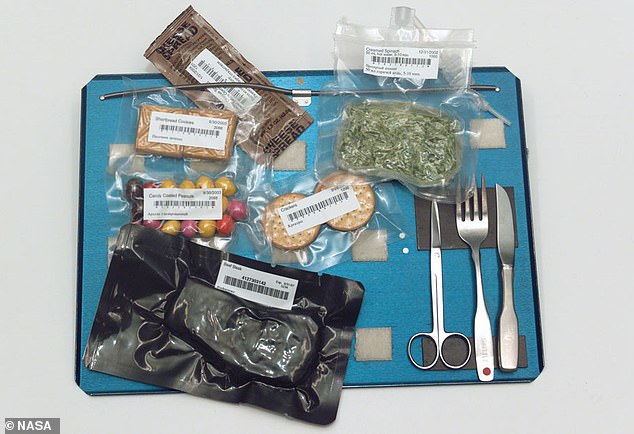 Artemis II Crew to Savor Gourmet Space Meals on Historic Moon Mission