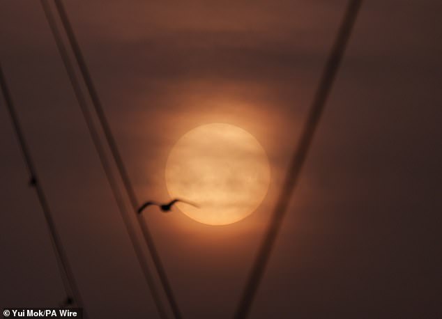 UK Experiences 'Blood Rain' as Saharan Dust Coats Vehicles and Windows, Met Office Reassures No Health Risks