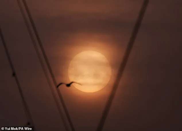 UK Experiences 'Blood Rain' as Saharan Dust Coats Vehicles and Windows, Met Office Reassures No Health Risks