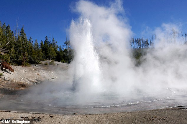 World's Largest Acidic Geyser Erupts in Yellowstone, Sparking Fears of Supervolcano Activity