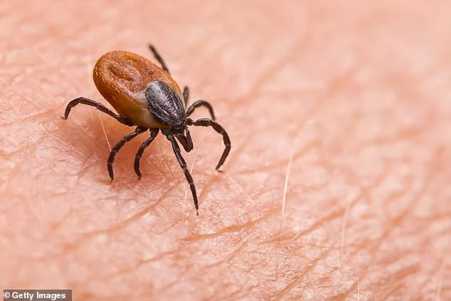 New Theory Links Lyme Disease Outbreak to Cold War Bioweapon Experiments, Says Biochemist