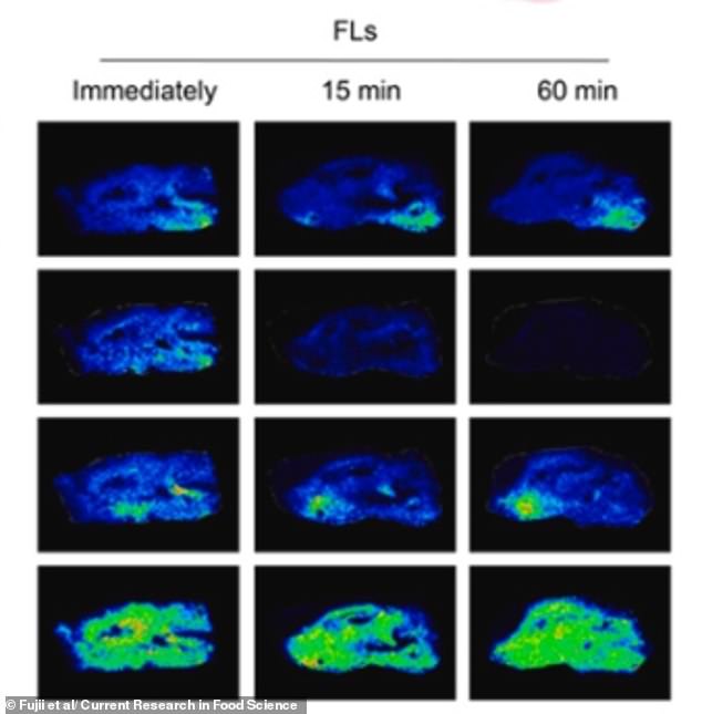 Flavanols in Red Wine and Chocolate May Enhance Cognitive Function, Study Suggests