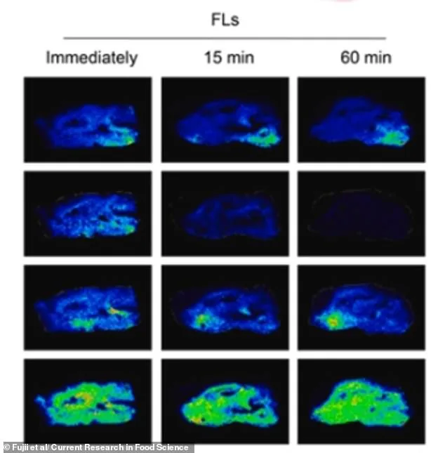 Flavanols in Red Wine and Chocolate May Enhance Cognitive Function, Study Suggests