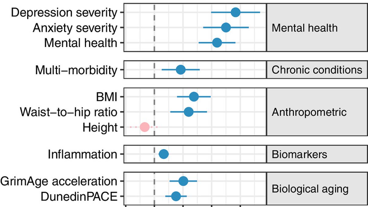 Hidden Cost of Strained Relationships: Accelerated Biological Aging Revealed