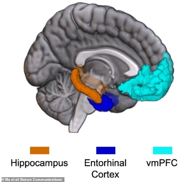 AI Unveils Brain's Emotional Map, Revealing Why Some Feelings Feel Alike
